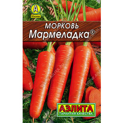 Морковь Мармеладка (лидер) // Аэлита (Лидер)