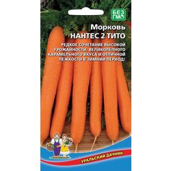Морковь Нантес 2 Тито // Уральский Дачник