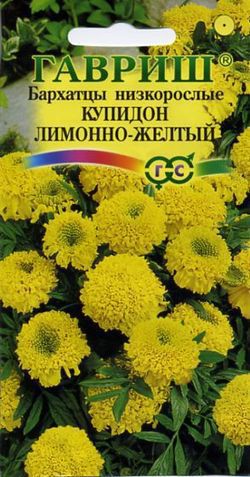 Ц Бархатцы Купидон лимонно-желтый 0.05г // Гавриш
