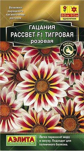 Ц Гацания Рассвет тигровая розовая // Аэлита