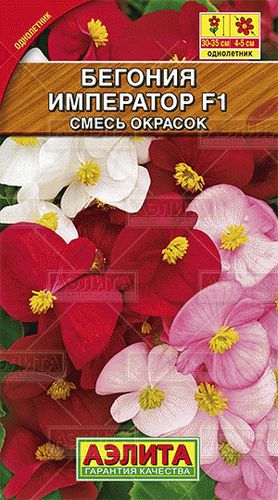 Ц Бегония Император Смесь вечноцветущая [комнатные] // Аэлита