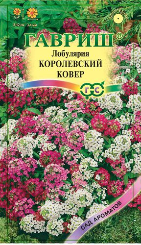 Ц Лобулярия Королевский ковер 0.1г // Гавриш