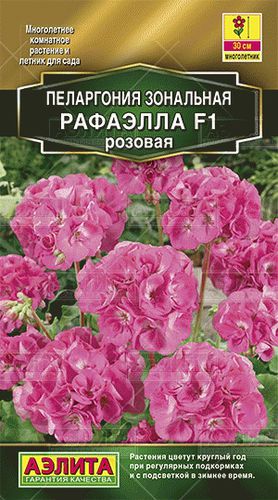 Ц Пеларгония Рафаэлла F1 Розовая [комнатные] // Аэлита