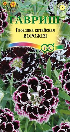 Ц Гвоздика китайская Ворожея 0.1г // Гавриш