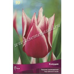 Тюльпан Клаудия лилиецветный 10шт (Поиск)