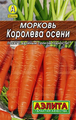 Морковь Королева Осени (лидер) // Аэлита (Лидер)