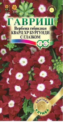 Ц Вербена Кварц ХР Бургунди с глазком (*5шт) // Гавриш