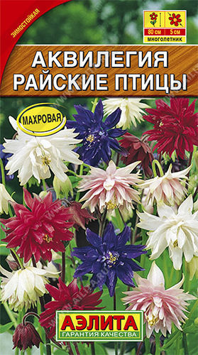 Ц Аквилегия Райские птицы смесь // Аэлита