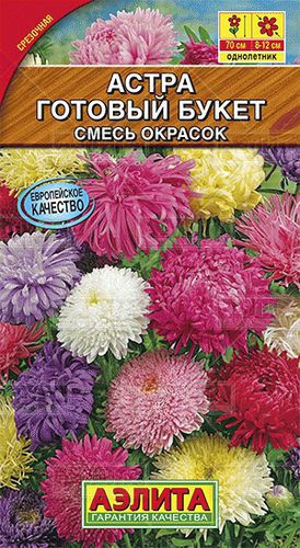 Ц Астра Готовый букет смесь // Аэлита