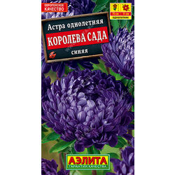 Ц Астра Королева сада синяя // Аэлита