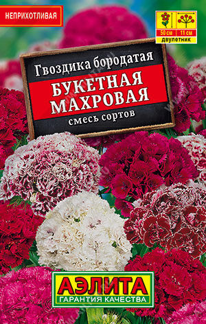 Ц Гвоздика Букетная махровая, смесь (лидер) // Аэлита (Лидер)