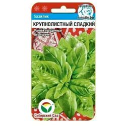 Базилик Крупнолистный сладкий зелен 0,5гр // Сибирский сад