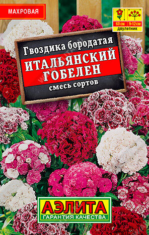 Ц Гвоздика Итальянский гобелен, смесь (лидер) // Аэлита (Лидер)