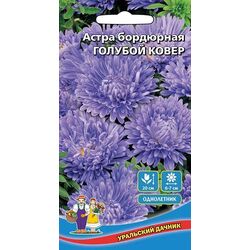 Ц Астра бордюрная Голубой ковер // Уральский Дачник