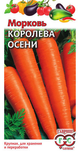 Морковь Королева Осени  // Гавриш