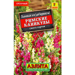 Ц Львиный зев Римские каникулы, смесь (лидер) // Аэлита (Лидер)