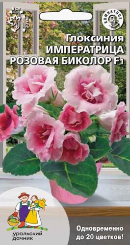 Ц Глоксиния Императрица розовая биколор F1 // Уральский Дачник