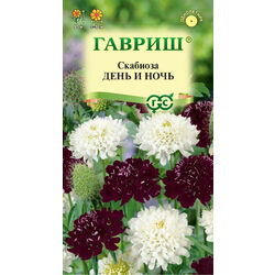 Ц Скабиоза пурпурная День и ночь, смесь 0,2 г // Гавриш