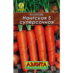 Морковь Нантская 5 суперсочная (лидер) // Аэлита (Лидер)