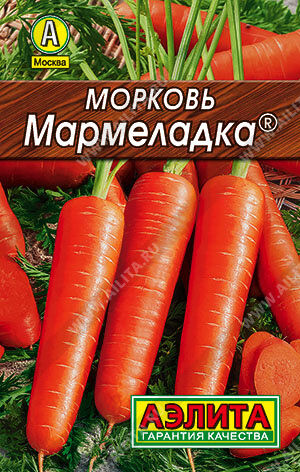 Морковь Мармеладка (лидер) // Аэлита (Лидер)