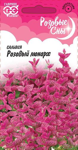 Ц Сальвия Розовый монарх хорминум 0,05г (Розовые сны) // Гавриш