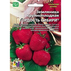 Земляника Гордость сибири - крупноплодная // Уральский Дачник