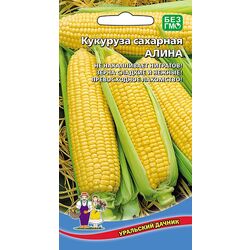 Кукуруза Алина - сахарная // Уральский Дачник