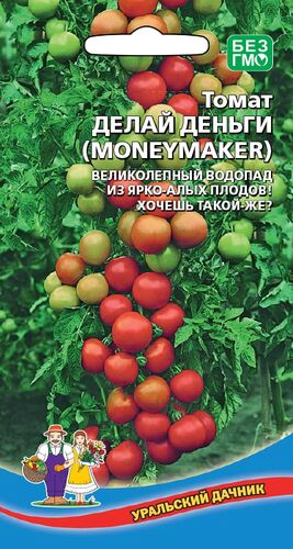 Томат Делай деньги (MONEYMAKER) // Уральский Дачник