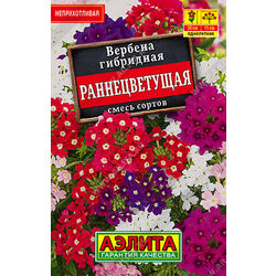 Ц Вербена Раннецветущая, смесь  (лидер) // Аэлита (Лидер)