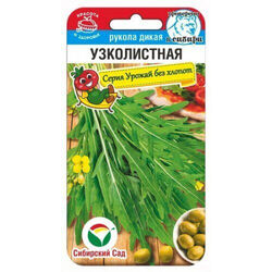 Рукола дикая Узколистная 0,5гр салат // Сиб.сад