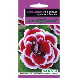 Ц Комн Глоксиния Брокада красная с белым F1 (*5шт) // Гавриш