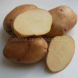Картофель в сетках Крепыш (Поиск) 3кг