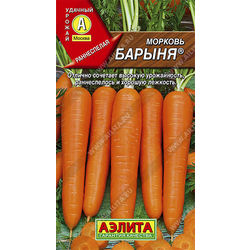 Морковь Барыня // Аэлита